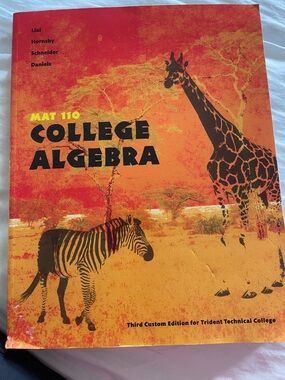 Pearson College Algebra Textbook - Orange, Black, Yellow